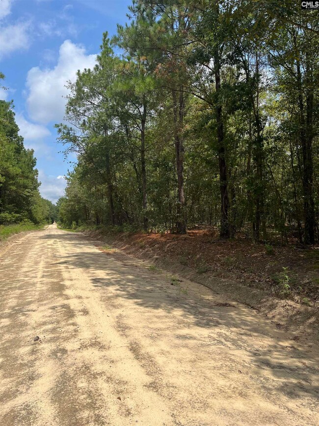 BHL 6 Boise Cascade Rd unit BHL 6, Bethune, SC 29009 - photo 5