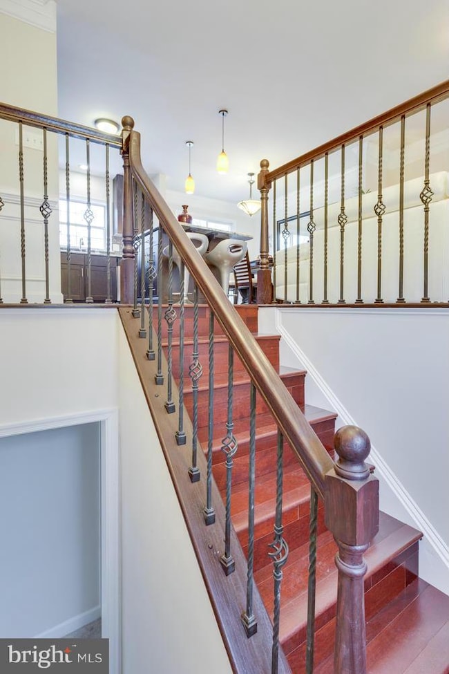 5712 Magnolia Ln, Falls Church, VA 22041 - photo 7