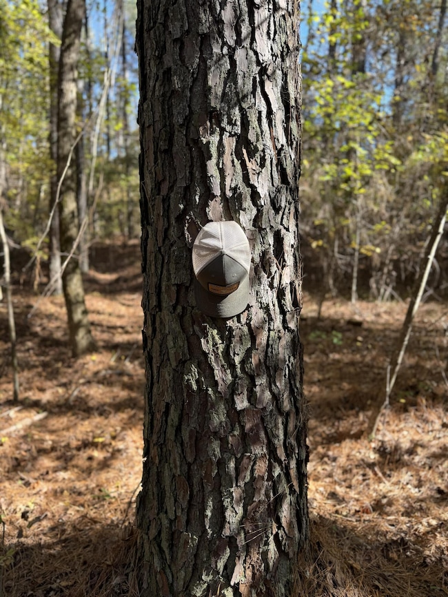 0 County Road 2350, Guntown, MS 38849 - photo 7