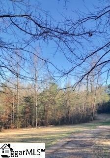 199 Lightning Ln, Travelers Rest, SC 29690 - photo 4