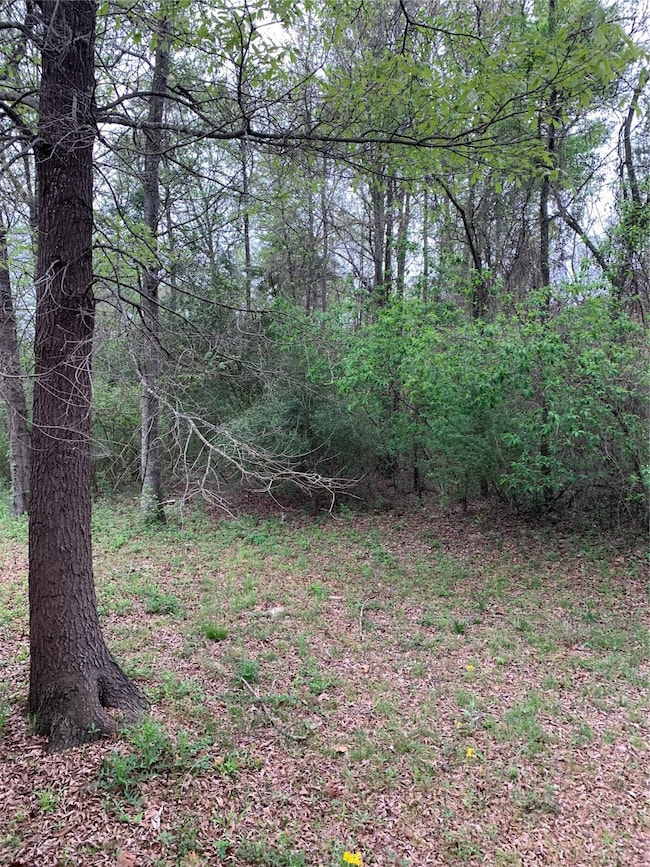 460 County Road 154, Nacogdoches, TX 75965 - photo 3