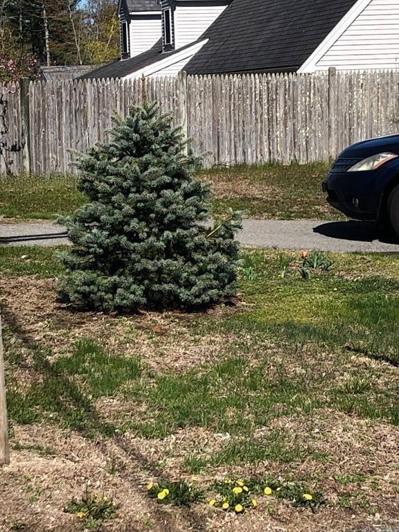 15 High St, Carver, MA 02330 - photo 6