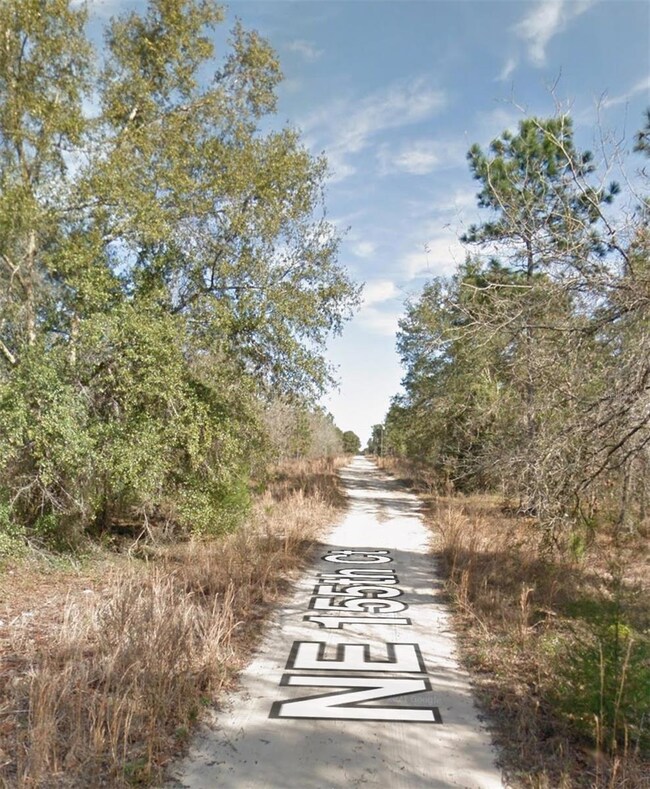 0 NE 155th Ct unit MFRO6366541, Williston, FL 32696 - photo 4
