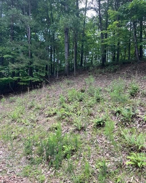 133 Adair Dr, Ranger, GA 30734 - photo 2