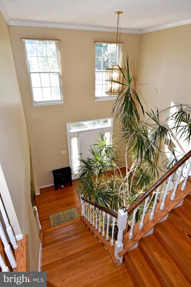 909 Cypress Point Cir, Bowie, MD 20721 - photo 3