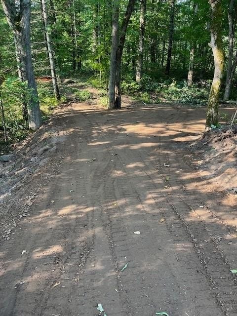 14405 255th Ave, Sampson, WI 54757 - photo 4