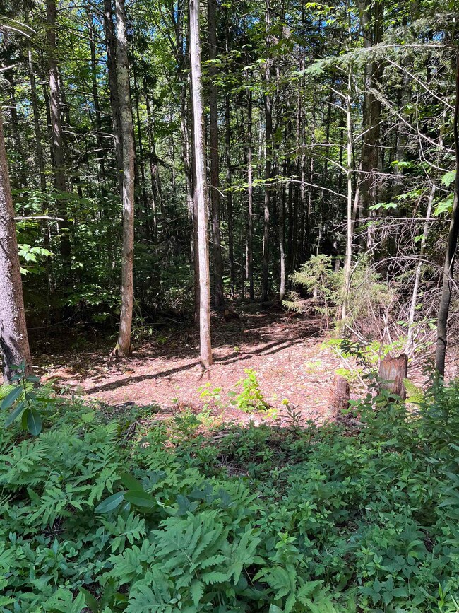 00 Berry Patch Ln, Ludlow, VT 05149 - photo 6