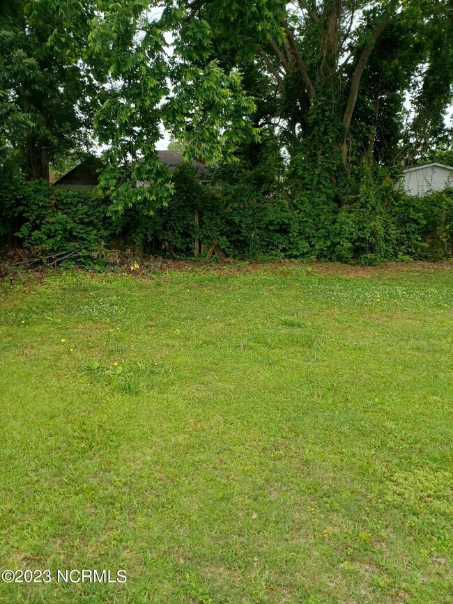 Back yard