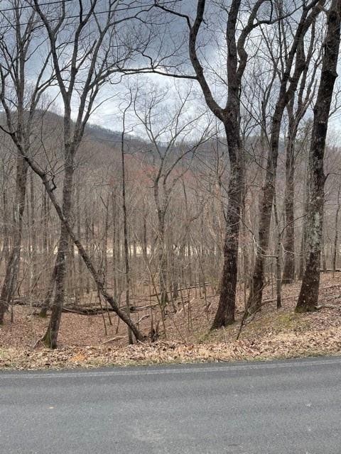 LT3150 Crippled Oak Trail, Jasper, GA 30143 - photo 3