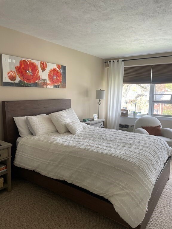 Hammond Park Condominiums unit 301, Chestnut Hill, MA 02467 - photo 7