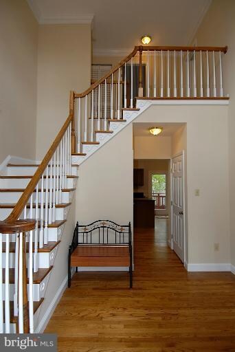 3006 Popkins Ln, Alexandria, VA 22306 - photo 6