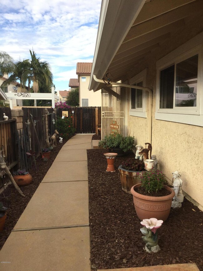 Side yard