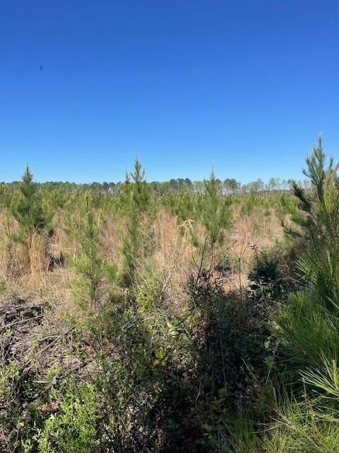 0 Halcyondale Loop, Sylvania, GA 30467 - photo 2