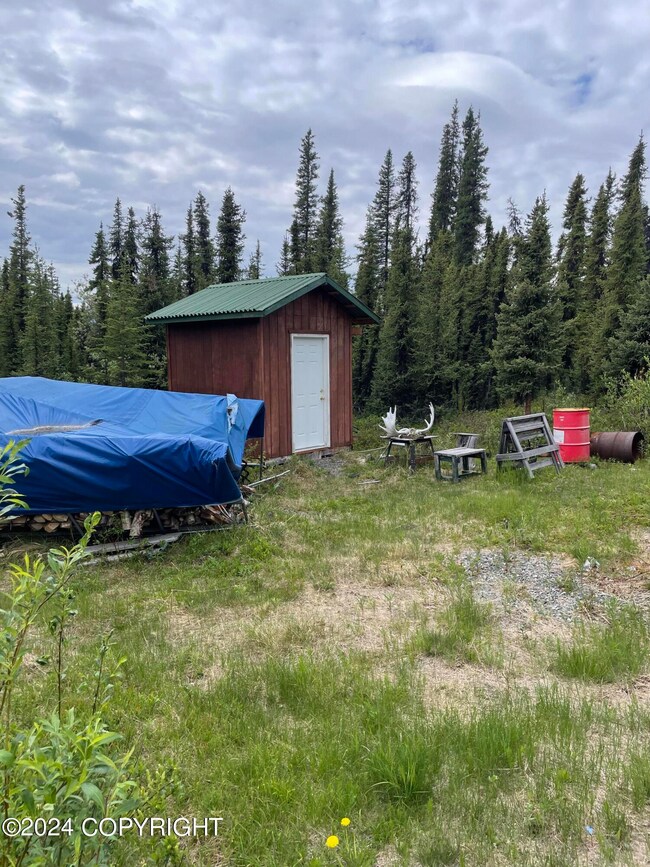 000 No Name Rd, Nelchina, AK 99588 - photo 5