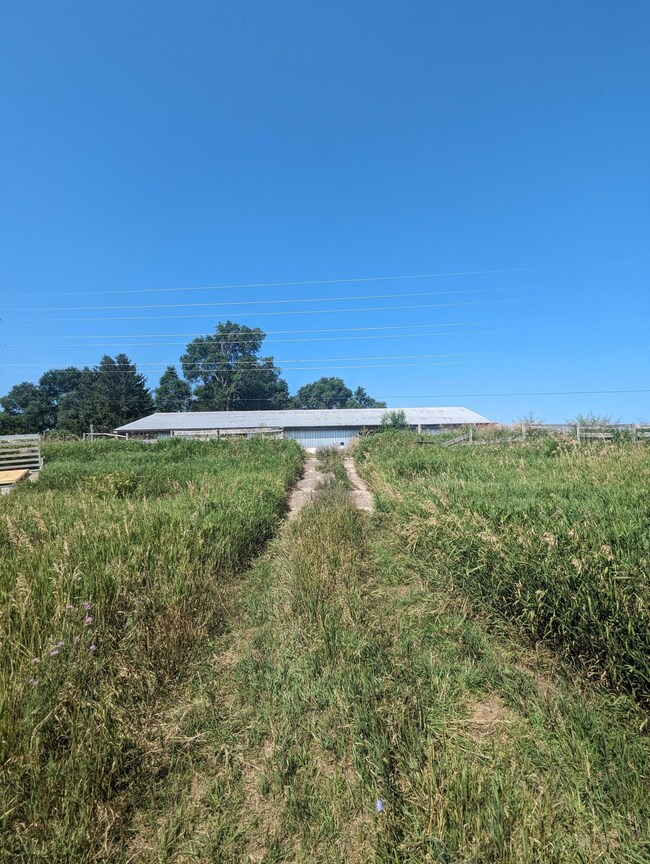 PXL_20230721_151819716