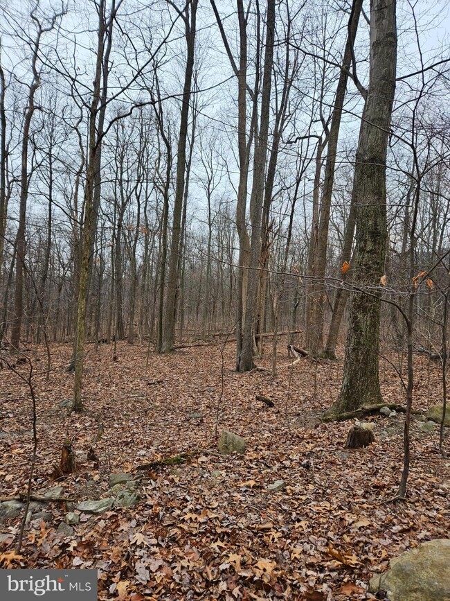 953 Apple Way, Saint Thomas, PA 17252 - photo 7