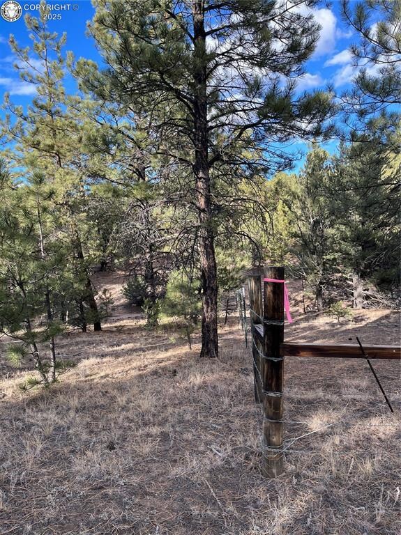 0 Q Path unit 7992612, Cotopaxi, CO 81223 - photo 4