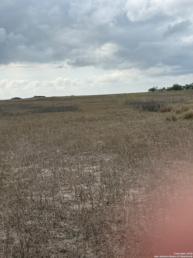 00 County Road 302, Runge, TX 78151 - photo 7