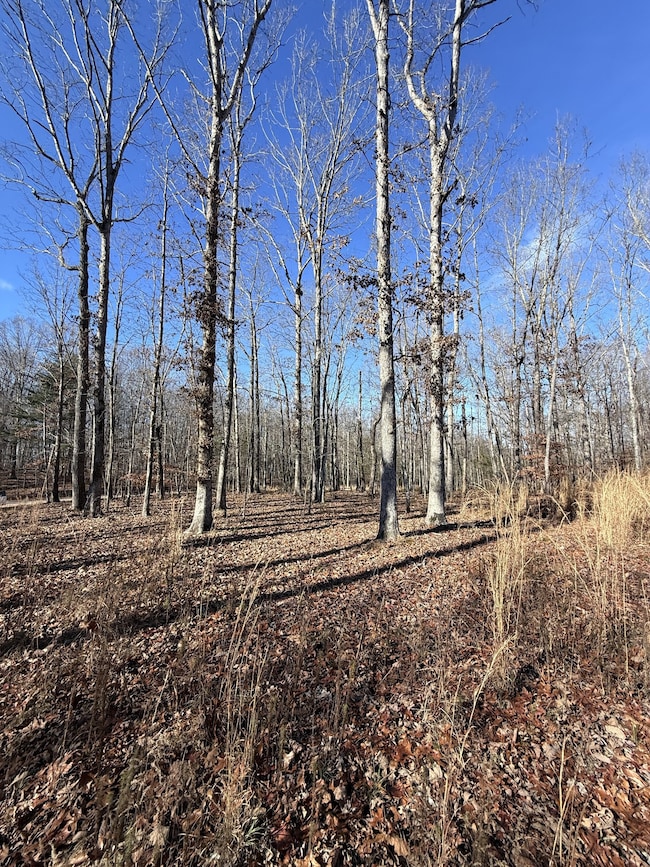 0 Deerwood Dr unit RTC3060905, Sewanee, TN 37375 - photo 7