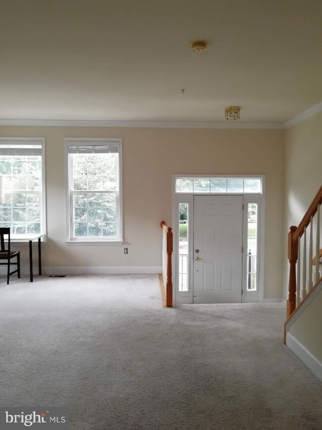 575 Pelican Ave, Gaithersburg, MD 20877 - photo 3