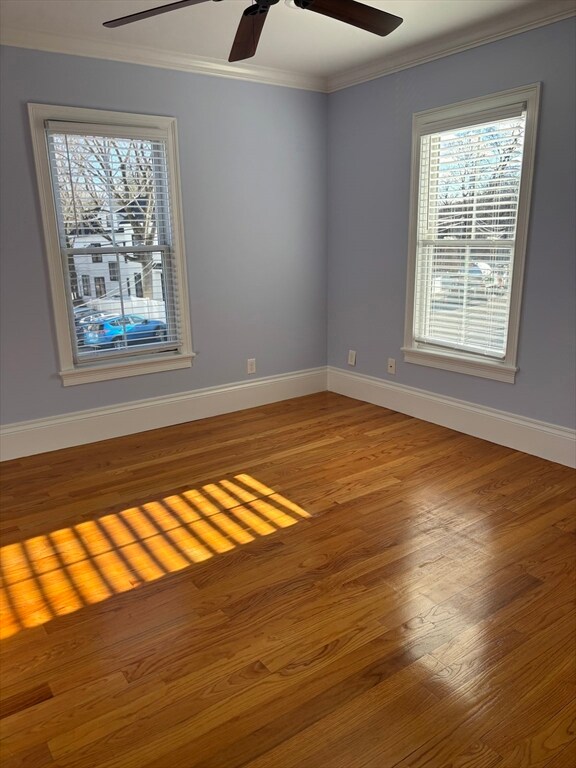 341 Linwood Ave unit 2, Newtonville, MA 02460 - photo 6