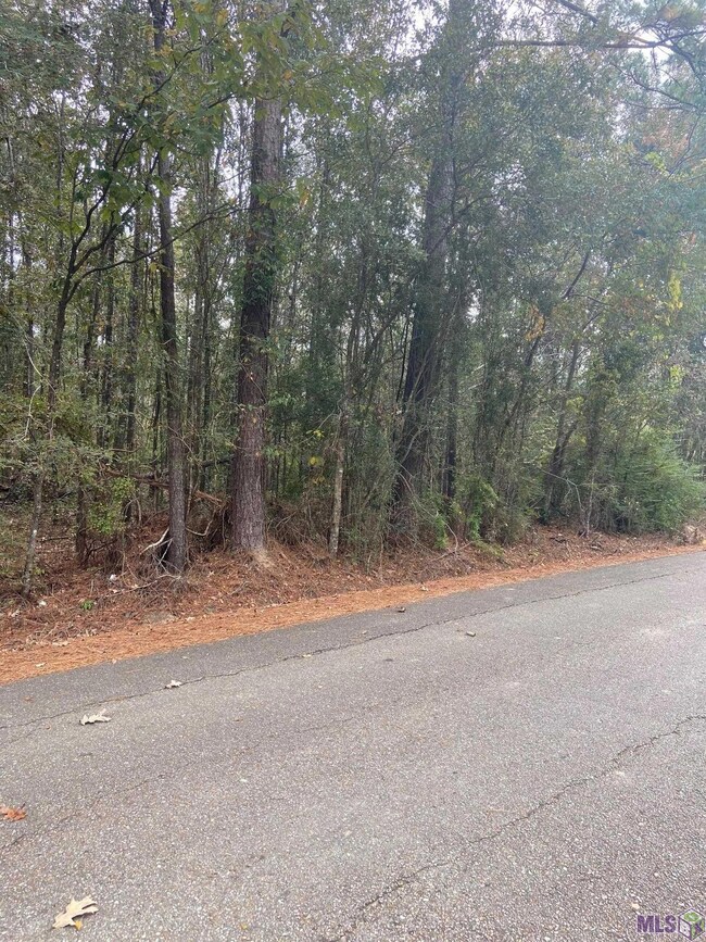 0 Lewis Rd unit 2022016915, Maurepas, LA 70449 - photo 2