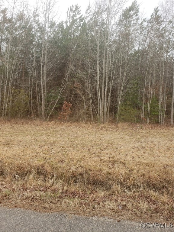 7016 Chippokes Rd, Spring Grove, VA 23881 - photo 5