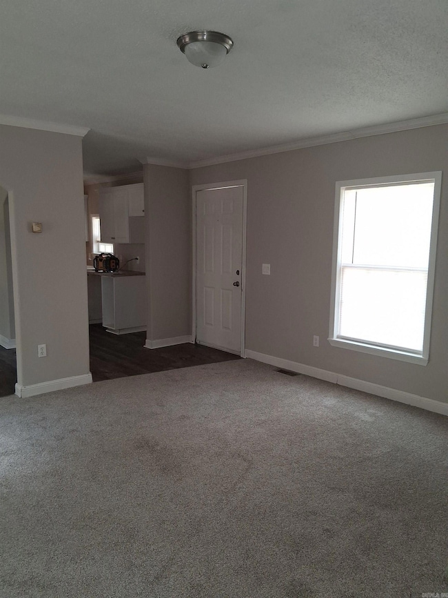 45 Willow Tree Rd, Ward, AR 72176 - photo 3