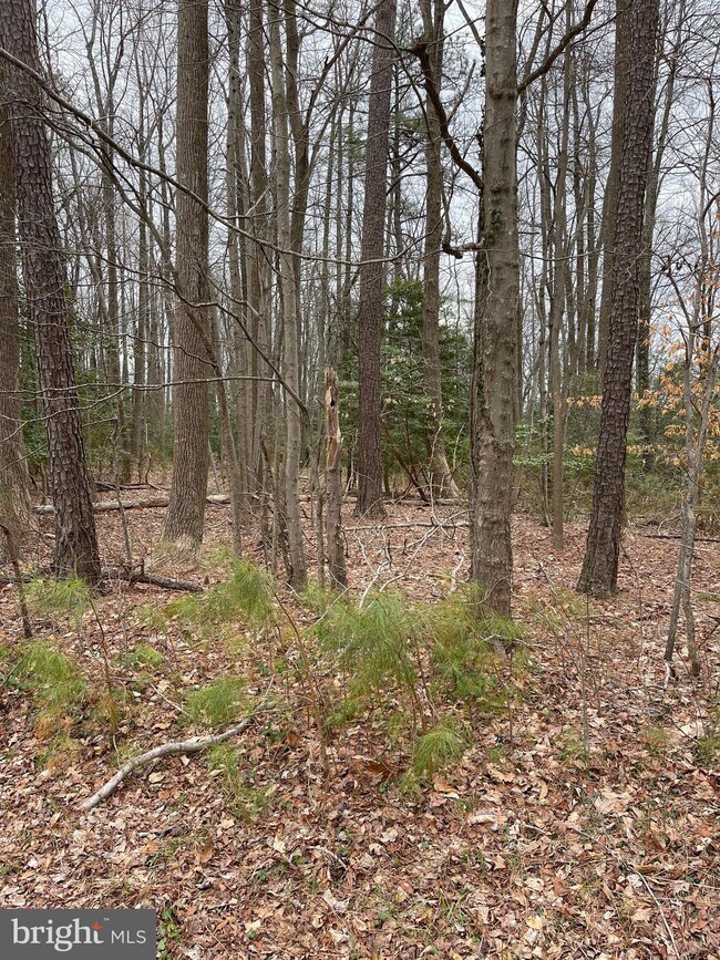 2345 Park Chesapeake Dr, Lusby, MD 20657 - photo 2