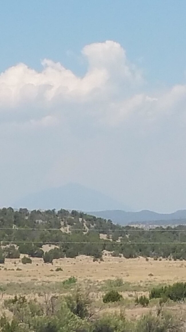 Hazy Spanish Peak from land