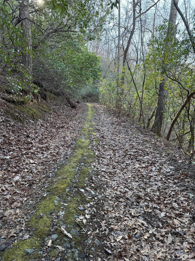 41 S Country Club Dr unit 41, Cullowhee, NC 28723 - photo 3