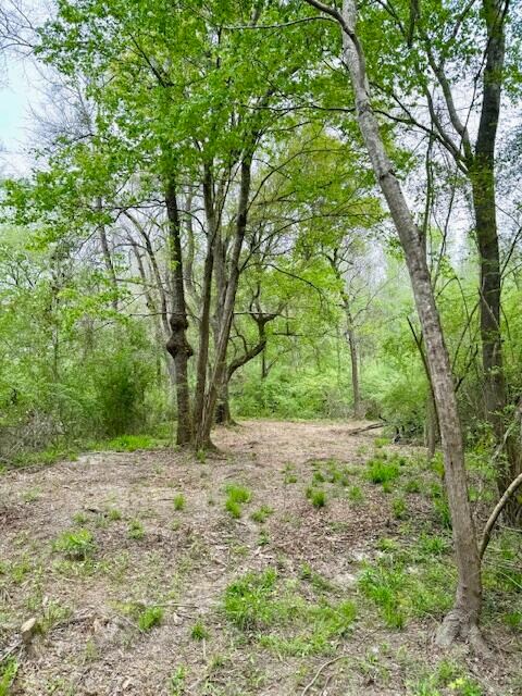 2150 Brown Rd, Hephzibah, GA 30815 - photo 4