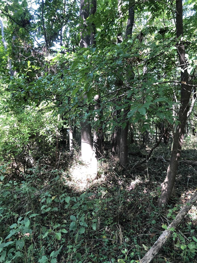 72 Saddle Ridge Dr, Siler City, NC 27344 - photo 4