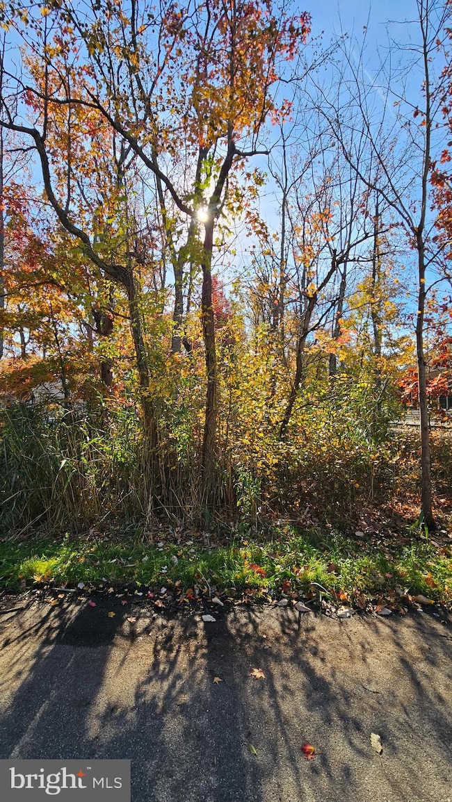 1217 Cross Rd, Annapolis, MD 21403 - photo 6