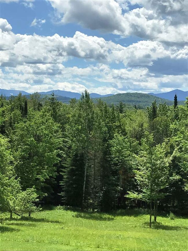 1255 Presby Rd, Lisbon, NH 03585 - photo 3