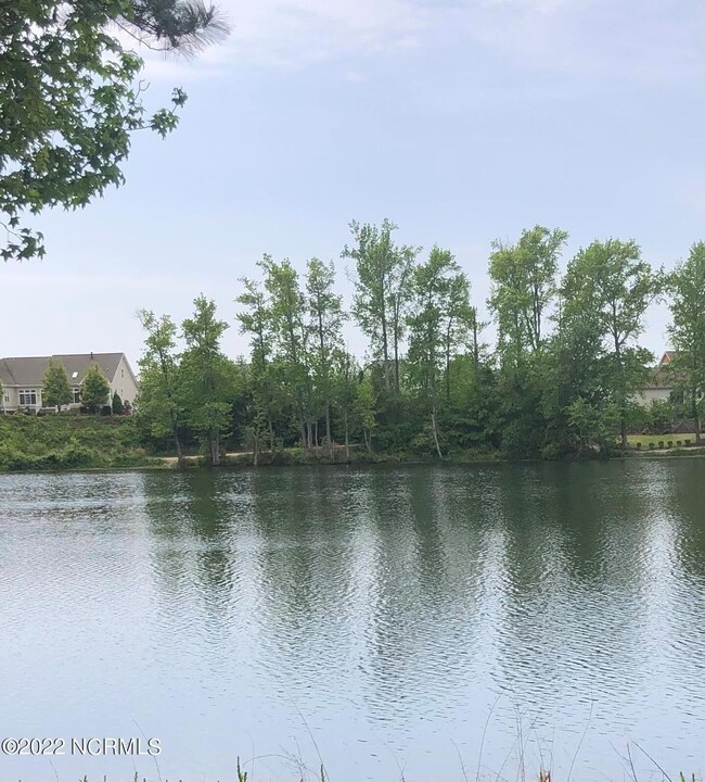 View of Lots from Lake