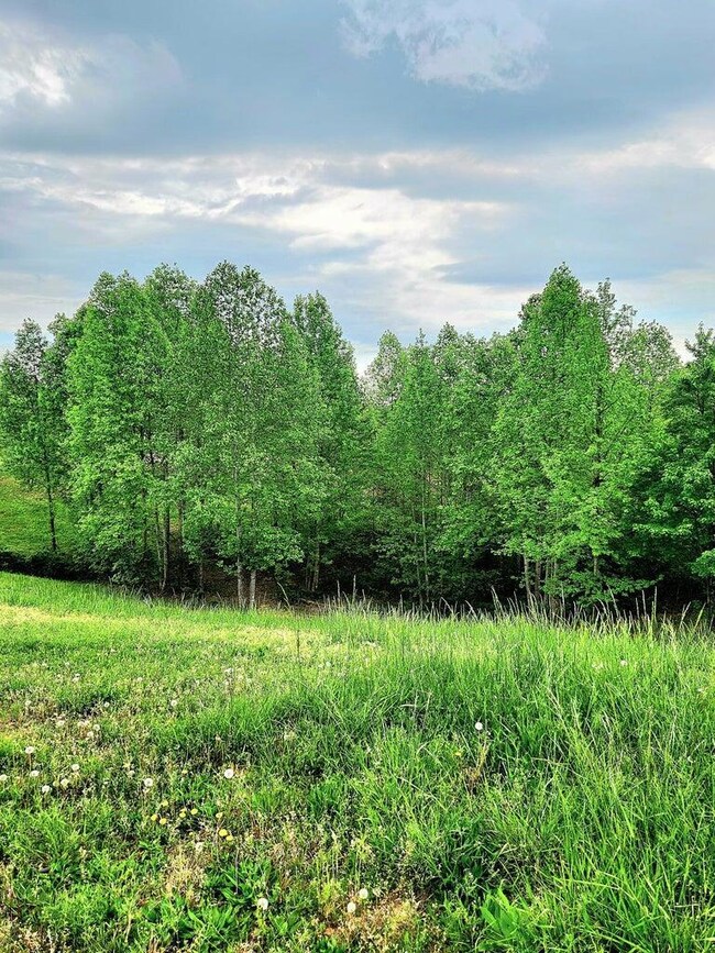 0 Sunset Cir unit 1517629, Jasper, TN 37347 - photo 4