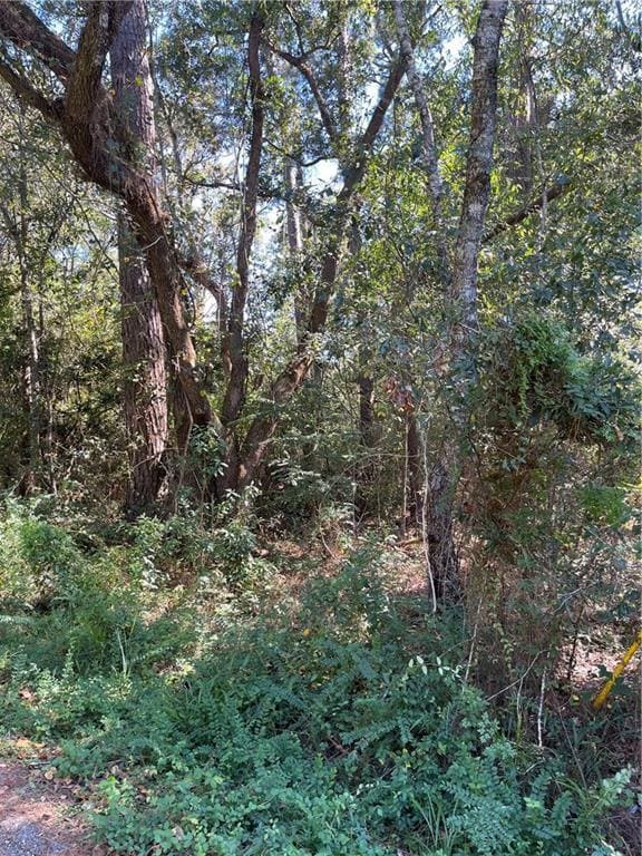 lOTS 6-11 Joel Dr, Slidell, LA 70460 - photo 2