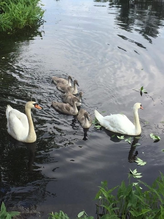 24 Cote Ln, Sutton, MA 01590 - photo 3