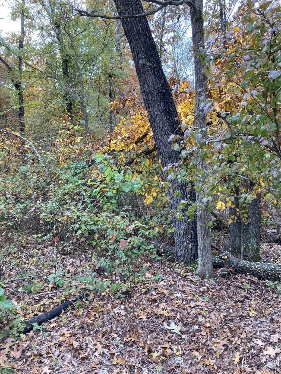 0 Clovelly Ln unit 1203432, Bella Vista, AR 72715 - photo 2