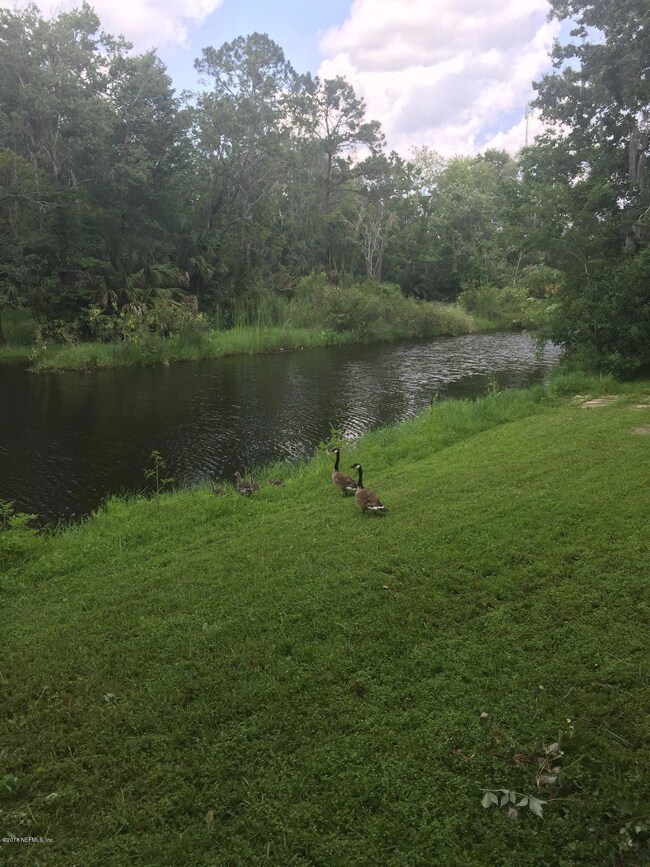 1603 Euclid St, Jacksonville, FL 32210 - photo 3