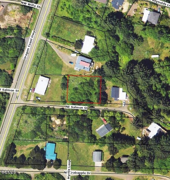 Sat image