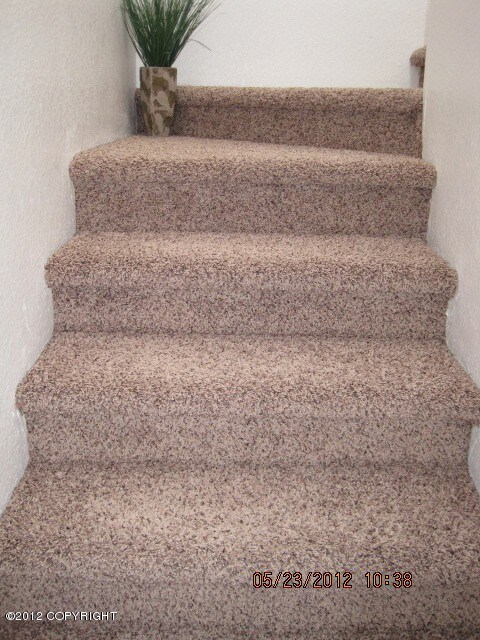 New Carpet throughout