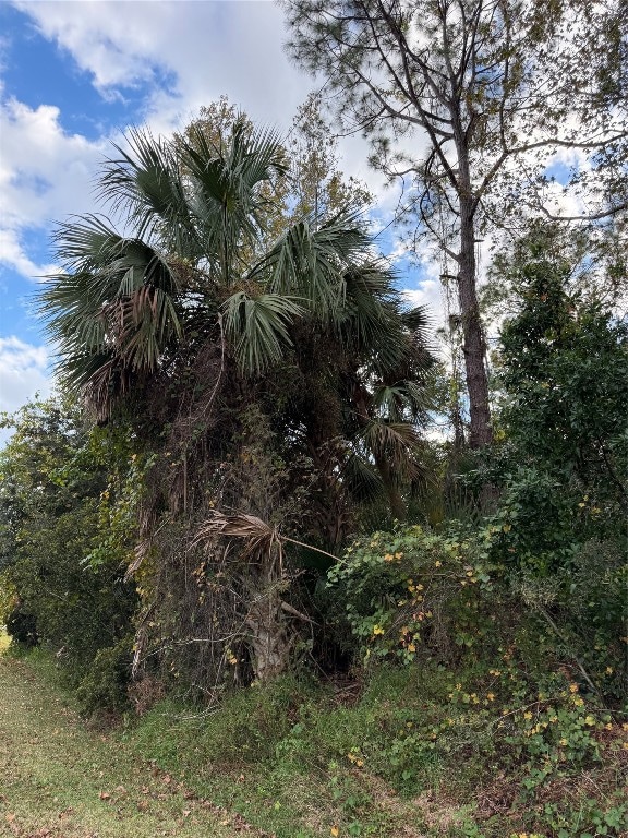 22 Westglen Ln, Palm Coast, FL 32162 - photo 2