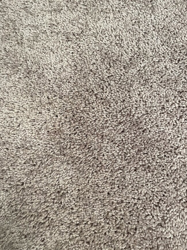 CARPET SELECTION (SECONDARY BEDROOMS AND BASEMENT)