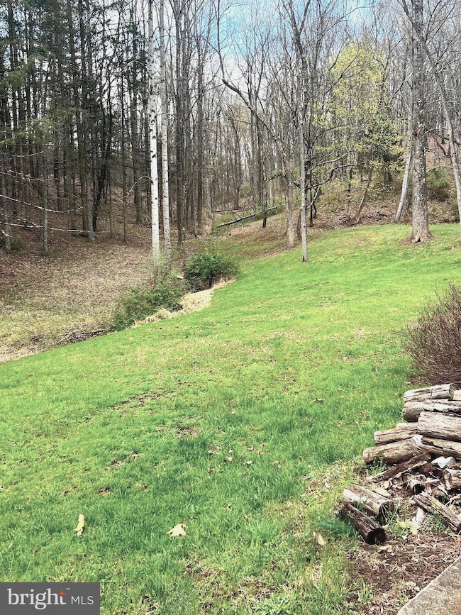 674 Wasamud Ln, Warfordsburg, PA 17267 - photo 3