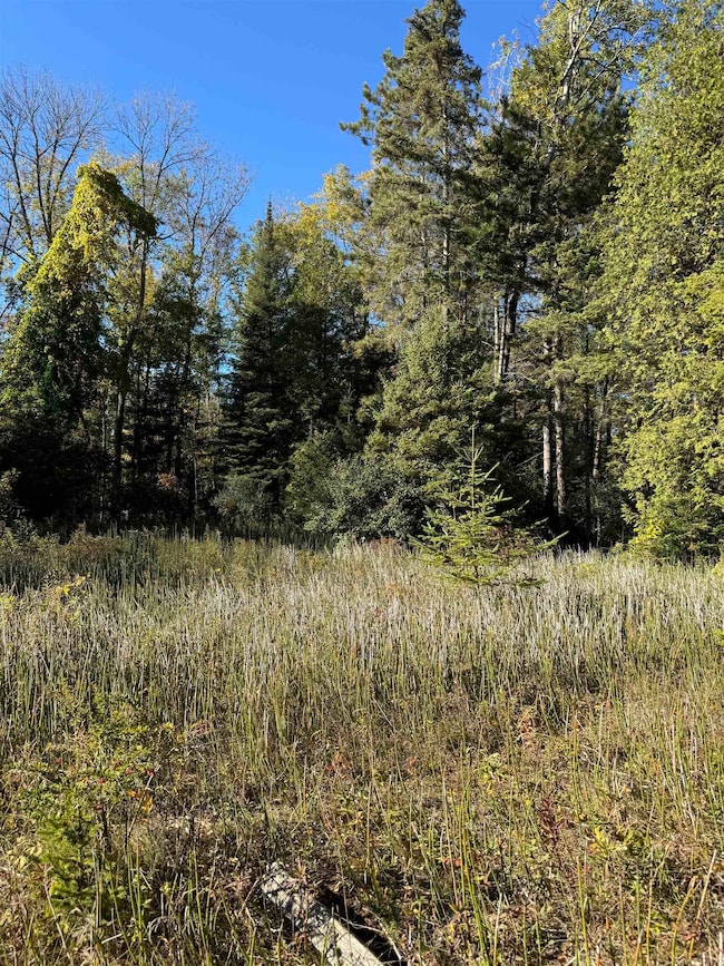 0 E State Highway M35, Menominee, MI 49858 - photo 7