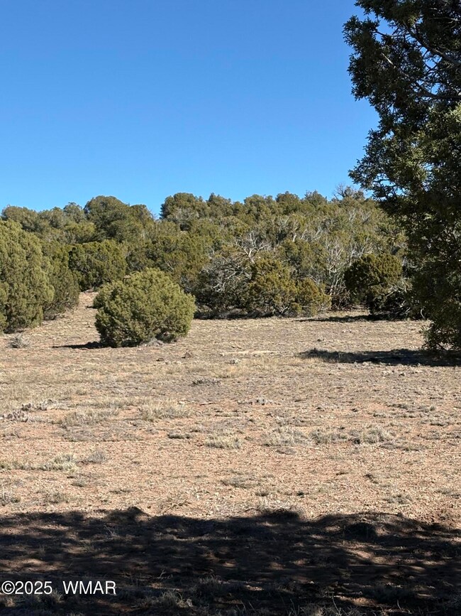 5 N8715 unit SE, Concho, AZ 85924 - photo 3