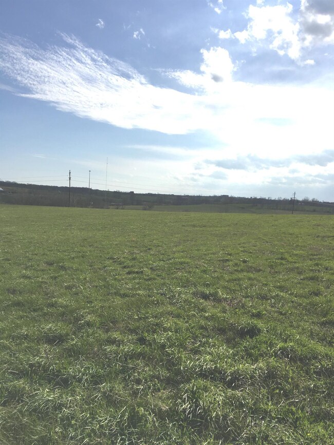 1401 Union Mill Rd, Nicholasville, KY 40356 - photo 4