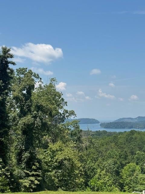 0 Carters View Dr unit 7695060, Ellijay, GA 30540 - photo 4